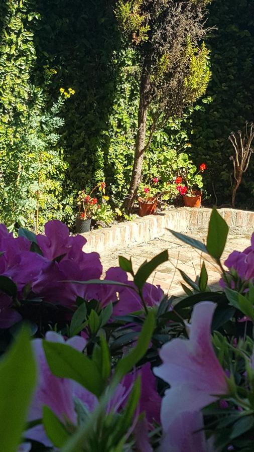Lo De Lala B&B Con Energia Solar Acassuso Dış mekan fotoğraf